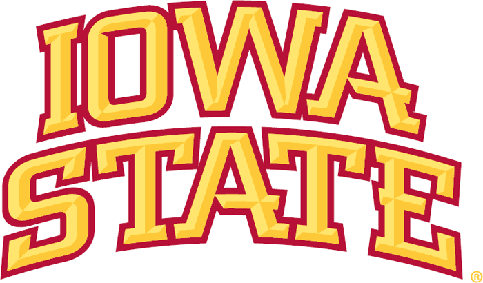 Iowa State Cyclones 2007-Pres Wordmark Logo diy DTF decal sticker